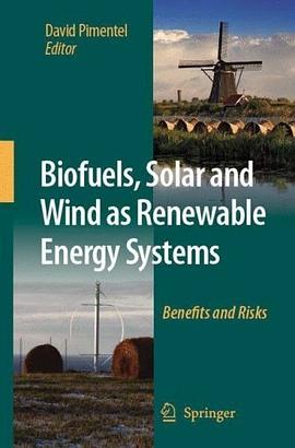 Biofuels, Solar and Wind as Renewable Energy Systems pdf epub mobi 电子书 下载