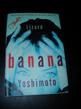 Lizard pdf epub mobi 电子书 下载