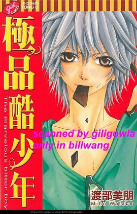 极品酷少年 pdf epub mobi 电子书 下载