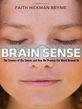 Brainsense pdf epub mobi 電子書 下載