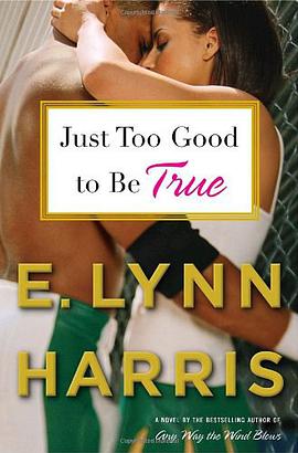 Just Too Good to Be True pdf epub mobi 电子书 下载