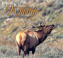Idaho Wildlife Impressions pdf epub mobi 电子书 下载