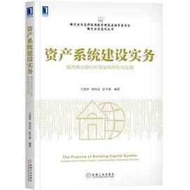 资产系统建设实务：城市商业银行科技架构研究与实践 pdf epub mobi 电子书 下载