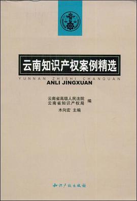 云南知识产权案例精选 pdf epub mobi 电子书 下载