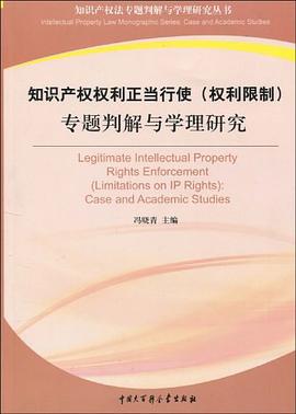 知識産權權利正當行使 pdf epub mobi 電子書 下載