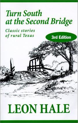 Turn South at the Second Bridge pdf epub mobi 电子书 下载