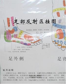 足部反射区挂图 pdf epub mobi 电子书 下载