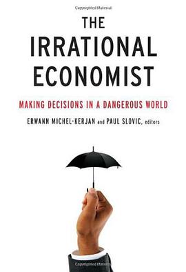 The Irrational Economist pdf epub mobi 电子书 下载