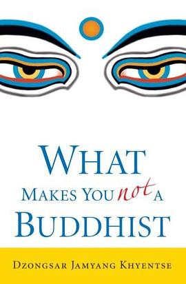 What Makes You Not a Buddhist pdf epub mobi 電子書 下載