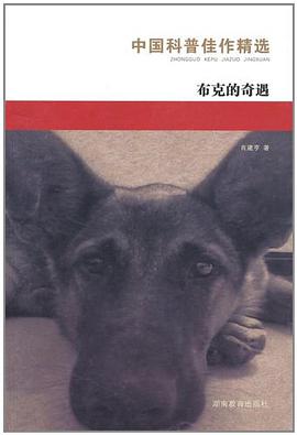 布克的奇遇 pdf epub mobi 电子书 下载