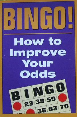 Bingo pdf epub mobi 电子书 下载