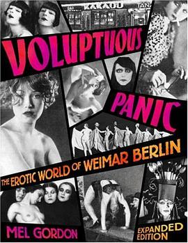 Voluptuous Panic pdf epub mobi 电子书 下载