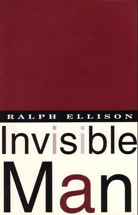 INVISIBLE MAN V715 pdf epub mobi 电子书 下载