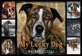 My Lucky Dog pdf epub mobi 电子书 下载