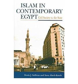 Islam in Contemporary Egypt pdf epub mobi 电子书 下载