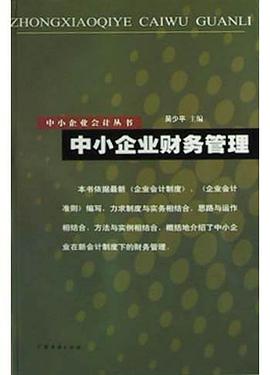 中小企业财务管理 pdf epub mobi 电子书 下载