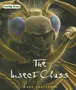 The Insect Class pdf epub mobi 电子书 下载
