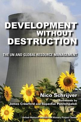 Development without Destruction pdf epub mobi 电子书 下载