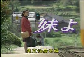 日本经典电视连续剧系列 东京仙履奇缘11集(VCD)