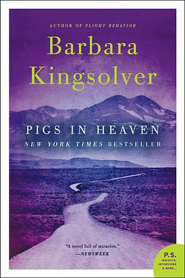 Pigs in Heaven pdf epub mobi 电子书 下载