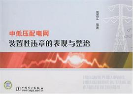 中低压配电网装置性违章的表现与整治