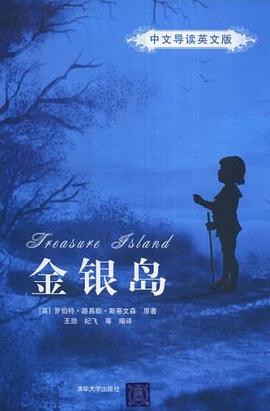 金银岛 pdf epub mobi 电子书 下载