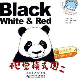 视觉模式图二 pdf epub mobi 电子书 下载
