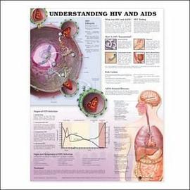 Understanding HIV and AIDS Anatomical Chart pdf epub mobi 電子書 下載