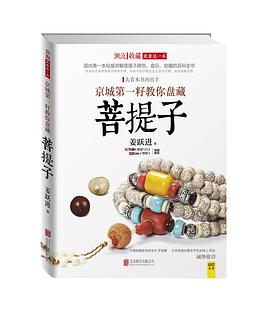 京城第一籽教你盘藏菩提子 pdf epub mobi 电子书 下载