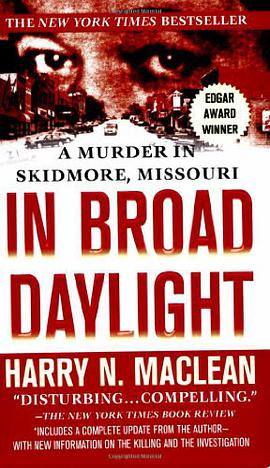 In Broad Daylight pdf epub mobi 電子書 下載