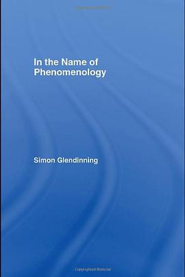 In the Name of Phenomenology pdf epub mobi 电子书 下载