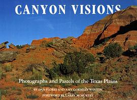 Canyon Visions pdf epub mobi 电子书 下载