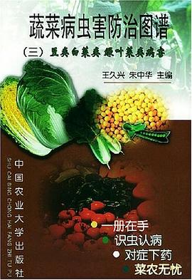 消化系肿瘤诊断与治疗 pdf epub mobi 下载