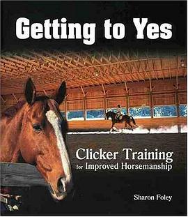 Getting to Yes pdf epub mobi 电子书 下载