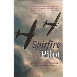 Spitfire Pilot pdf epub mobi 下载
