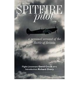 Spitfire Pilot pdf epub mobi 下载