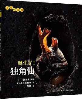 诞生了！独角仙 pdf epub mobi 电子书 下载