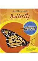 The Life Cycle of a Butterfly