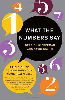 What the Numbers Say pdf epub mobi 电子书 下载