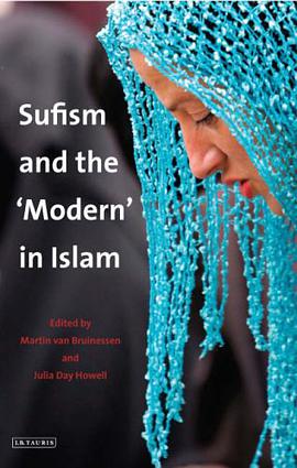 Sufism and the 'Modern' in Islam pdf epub mobi 电子书 下载