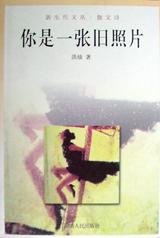 你是一张旧照片 pdf epub mobi 电子书 下载