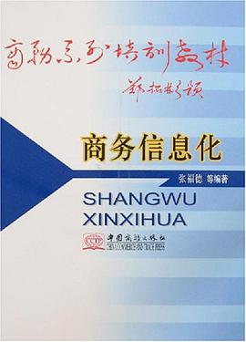 商务信息化 pdf epub mobi 电子书 下载