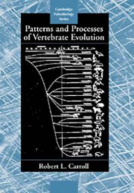 Patterns and Processes of Vertebrate Evolution pdf epub mobi 電子書 下載