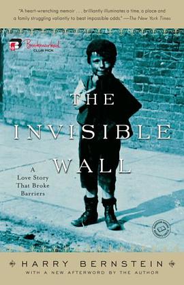 The Invisible Wall pdf epub mobi 電子書 下載