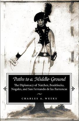Paths to a Middle Ground pdf epub mobi 电子书 下载