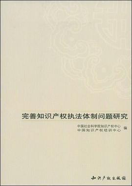 完善知识产权执法体制问题研究 pdf epub mobi 电子书 下载
