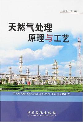 天然氣處理原理與工藝 pdf epub mobi 電子書 下載