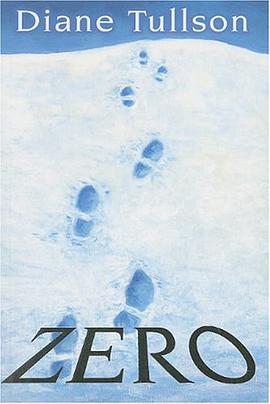 Zero pdf epub mobi 电子书 下载