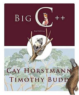 Big C++ pdf epub mobi 电子书 下载
