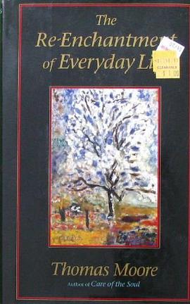 The Re-Enchantment of everyday life pdf epub mobi 电子书 下载